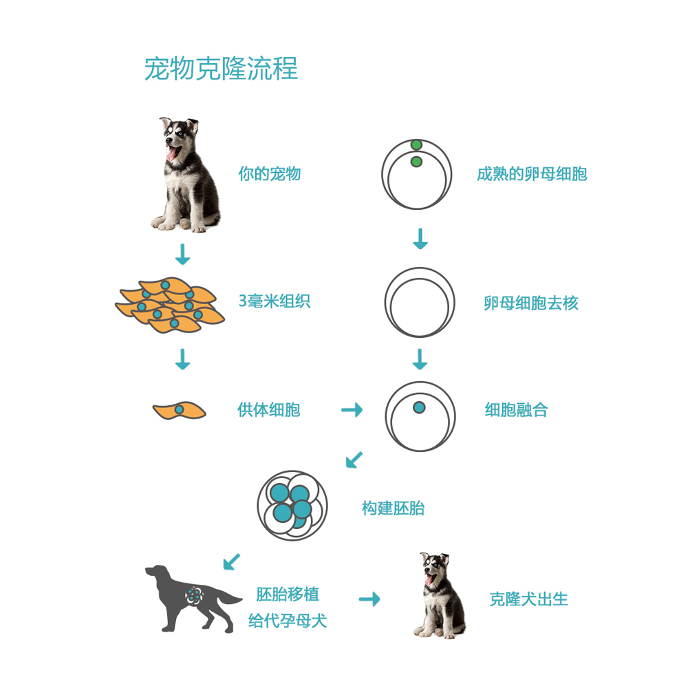 北京希諾谷生物科技有限公司