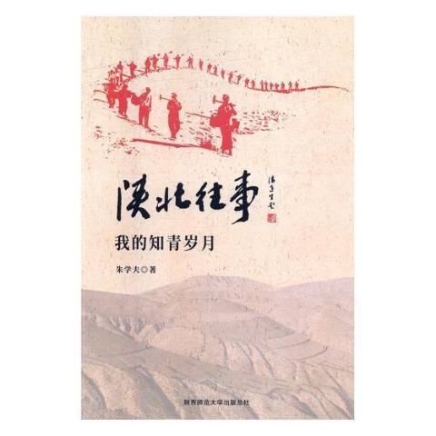 陝北往事(2021年陝西師範大學出版社出版的圖書)