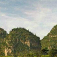 尼羅村