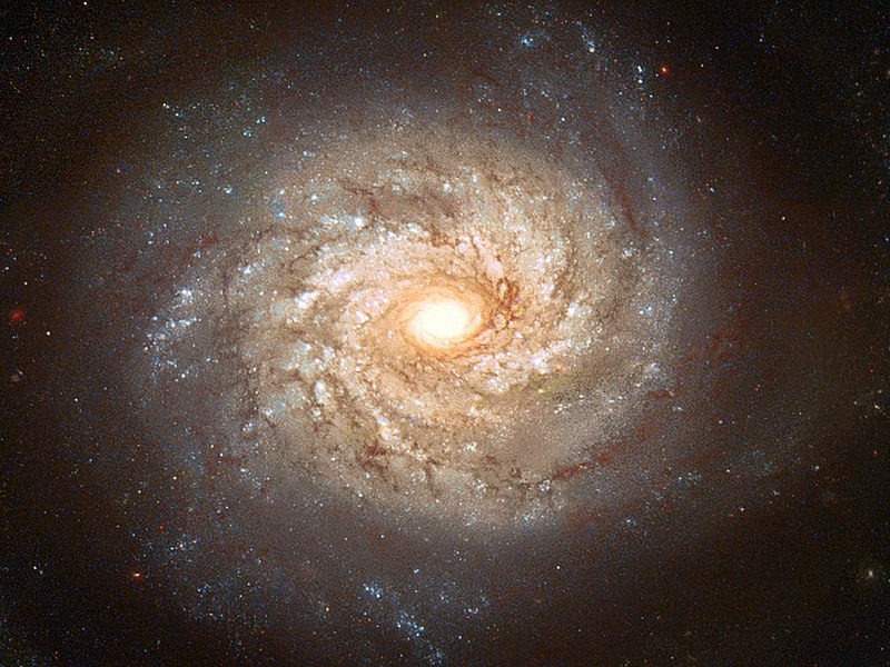 NGC 3982