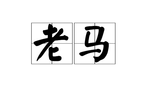 老馬(漢語辭彙)