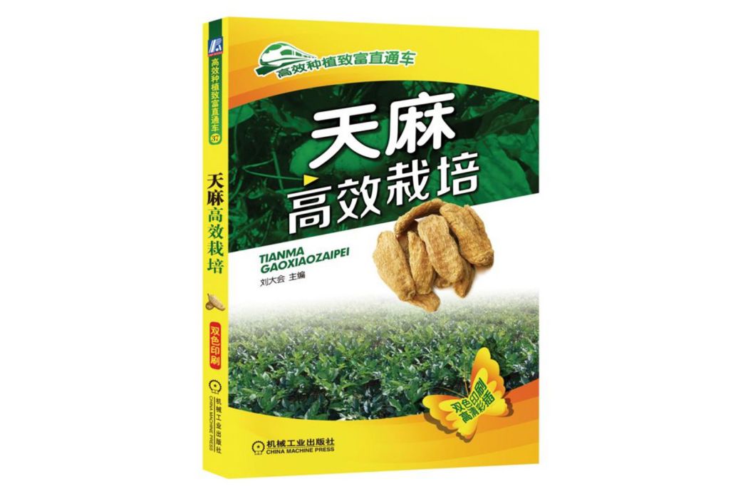 天麻高效栽培/高效種植致富直通車