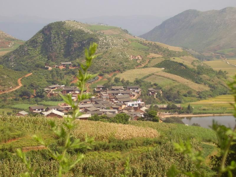 蘆柴沖村(雲南省硯山縣江那鎮蘆柴沖村)