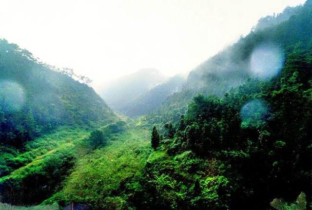 李橋鎮(富順縣李橋鎮)