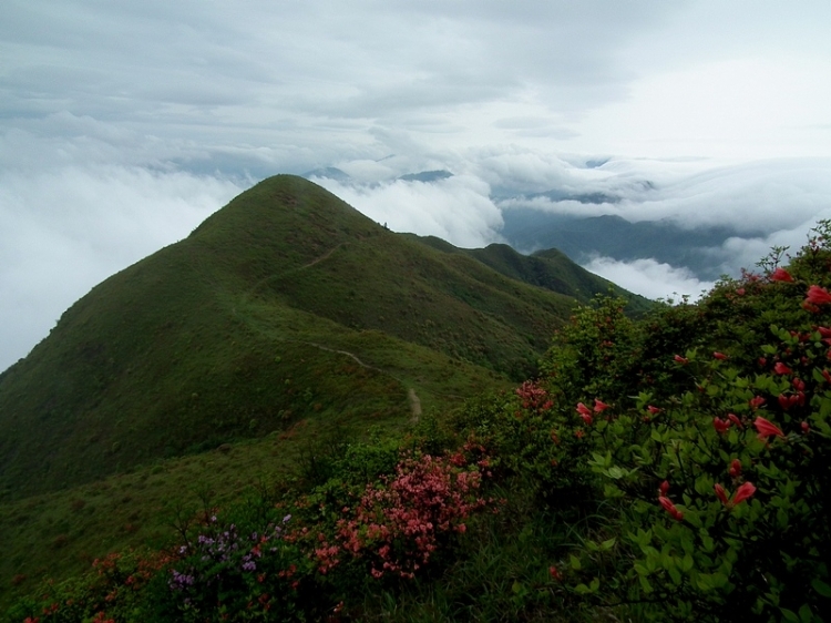 凌雲山(江西省寧都縣下轄山川)