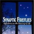 Synaptic Fireflies