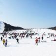 太子嶺滑雪場