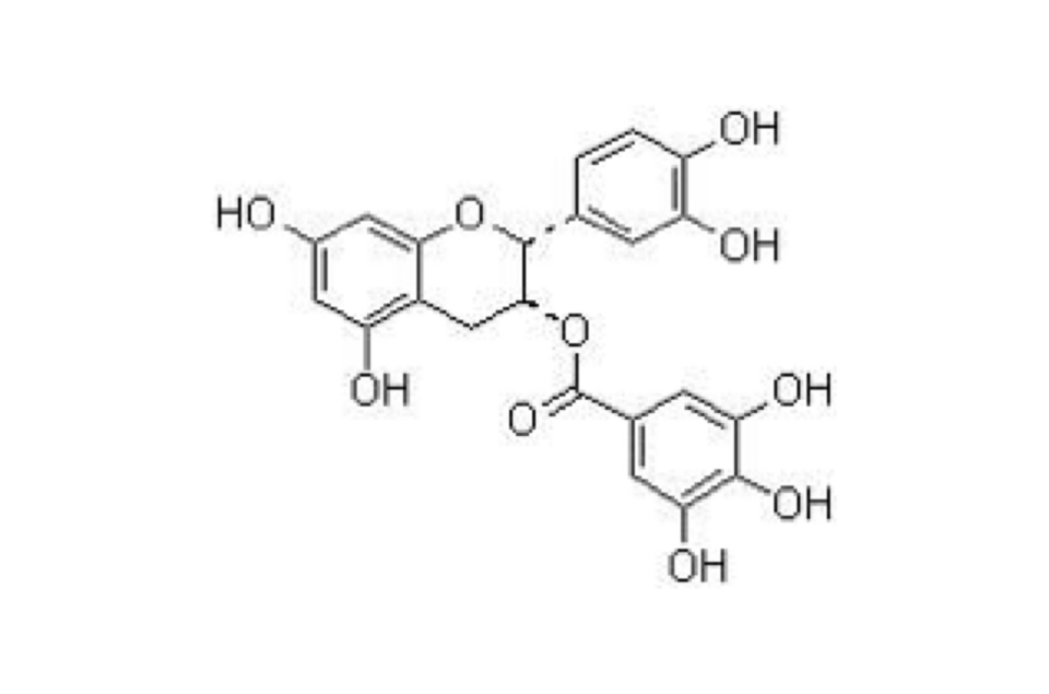 表兒茶素沒食子酸酯