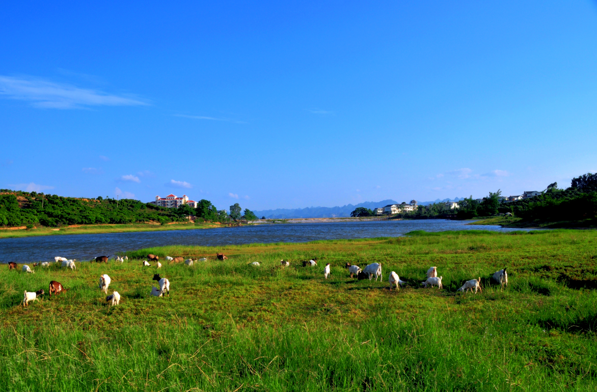 那神湖美景