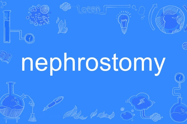 nephrostomy