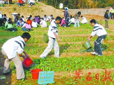 位於教學樓背後的蔬菜基地