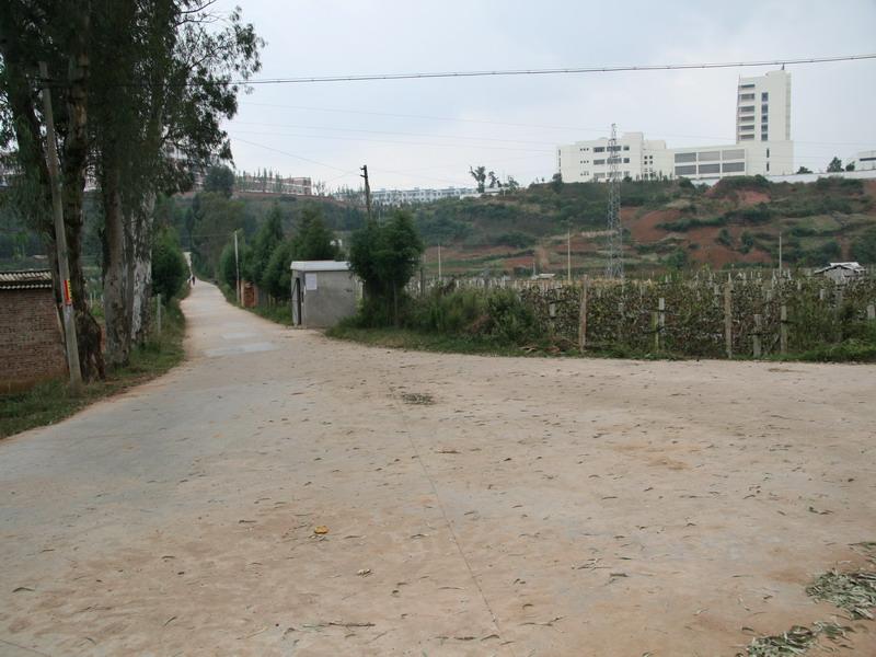 東海子村(雲南省石林縣鹿阜鎮東海子村)