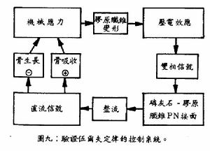 驗證伍爾夫定律的控制系統