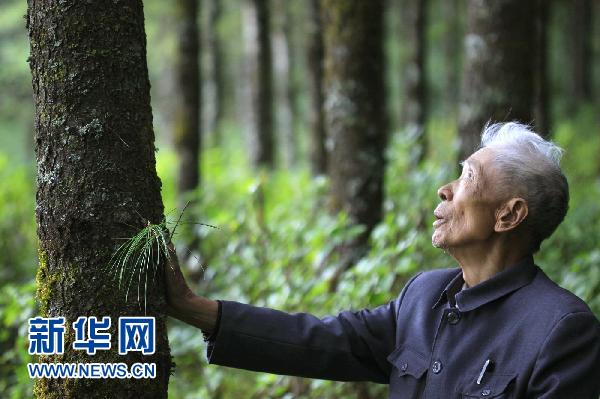 楊善洲(雲南省保山原地委書記、最美奮鬥者榮譽獲得者)