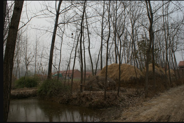 馬廠遺址