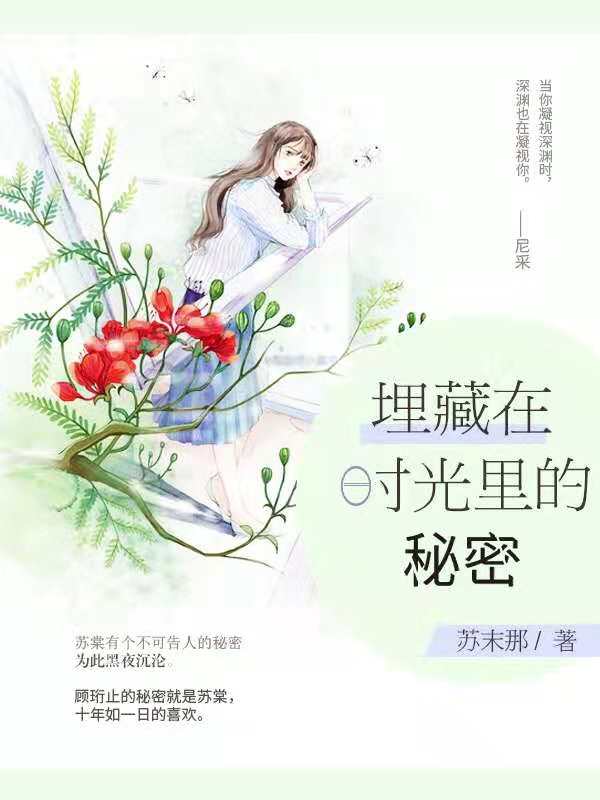 埋藏在時光里的秘密(蘇末那所著小說)