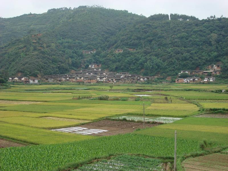 灣子自然村(雲南省文山市麻栗坡縣鐵廠鄉灣子自然村)