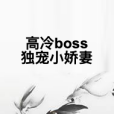 高冷boss獨寵小嬌妻