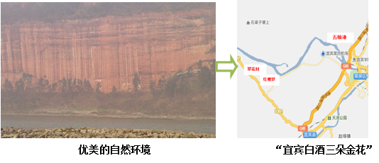 宜賓縣翠花村酒業有限公司