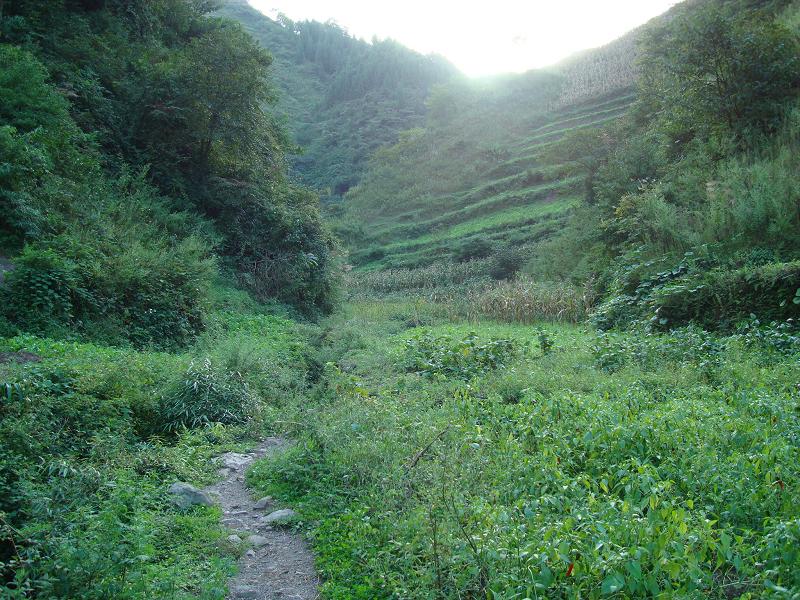 大坳頂自然村