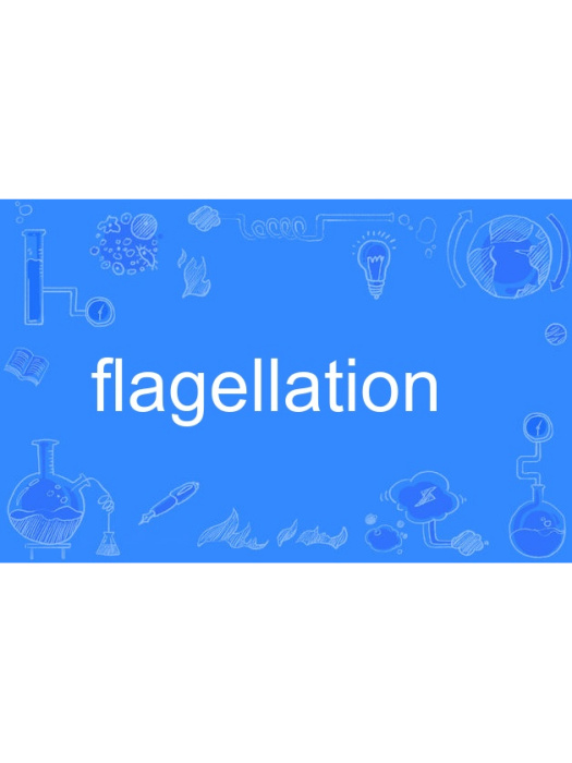 flagellation