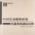 中國勞動保障政策仿真系統建設初探