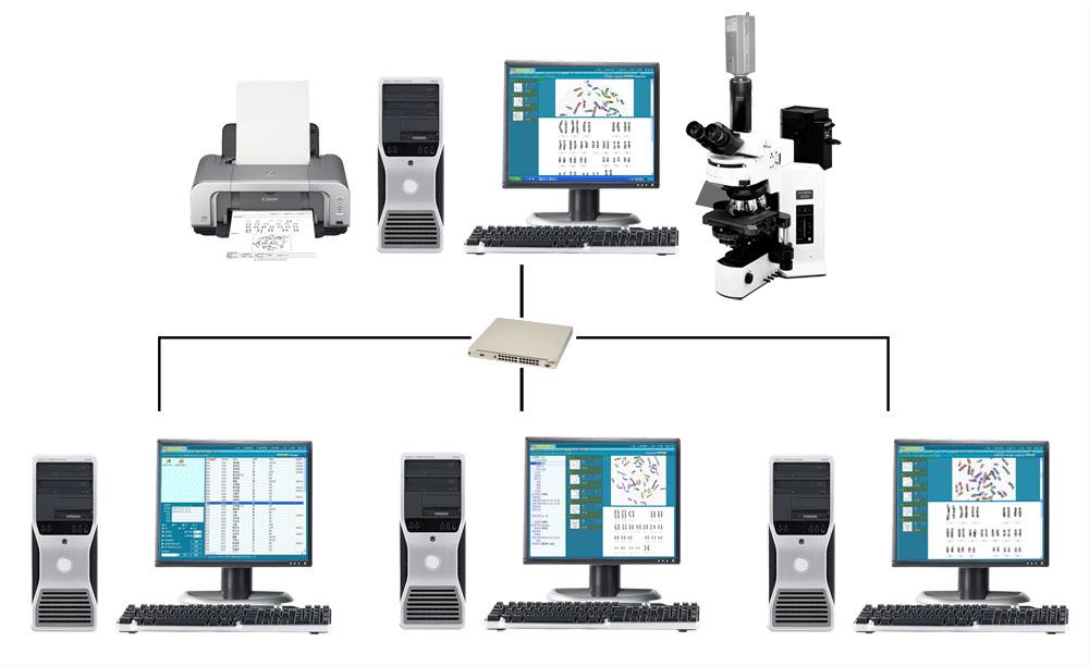 染色體圖像分析系統