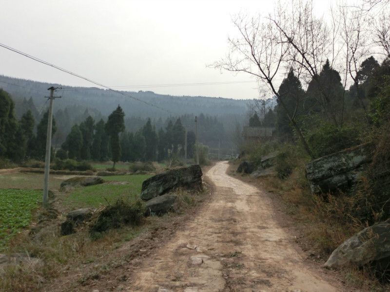 元豐村(四川省廣元市劍閣縣店子鄉元豐村)