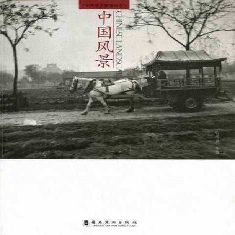 中國風景(2011年嶺南美術出版社出版的圖書)