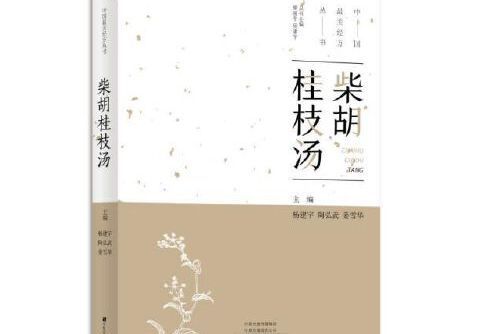 柴胡桂枝湯(2019年中原農民出版社出版的圖書)