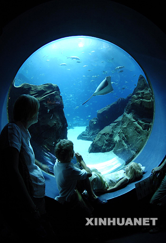 新喬治亞水族館