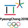 2018年平昌冬季奧運會(韓國平昌冬奧會)