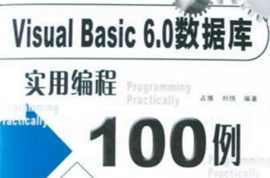 Visual Basic 6.0資料庫實用編程100例