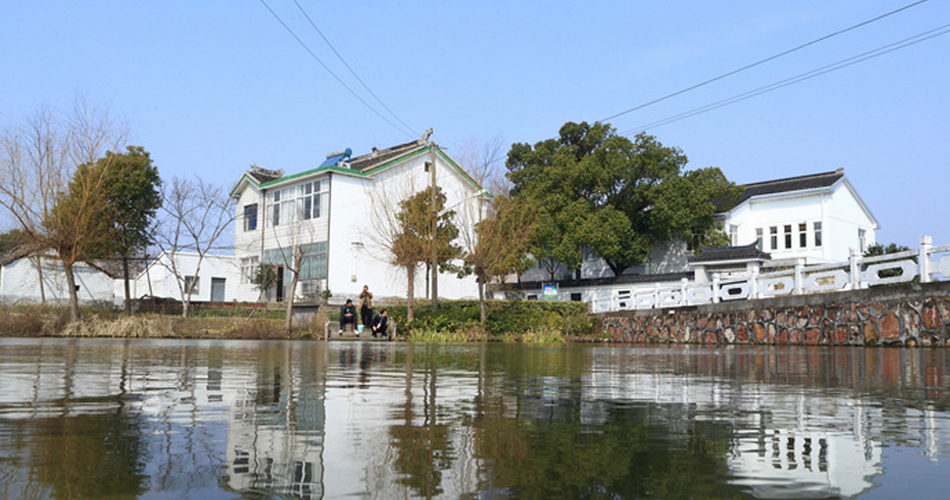 前頭村(黑龍江省綏稜縣後頭鄉前頭村)