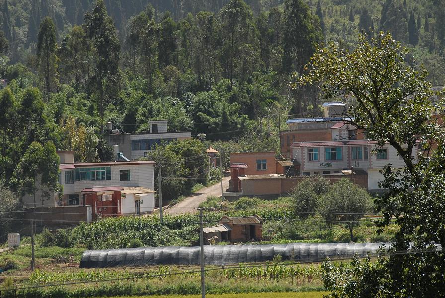 小桃花村