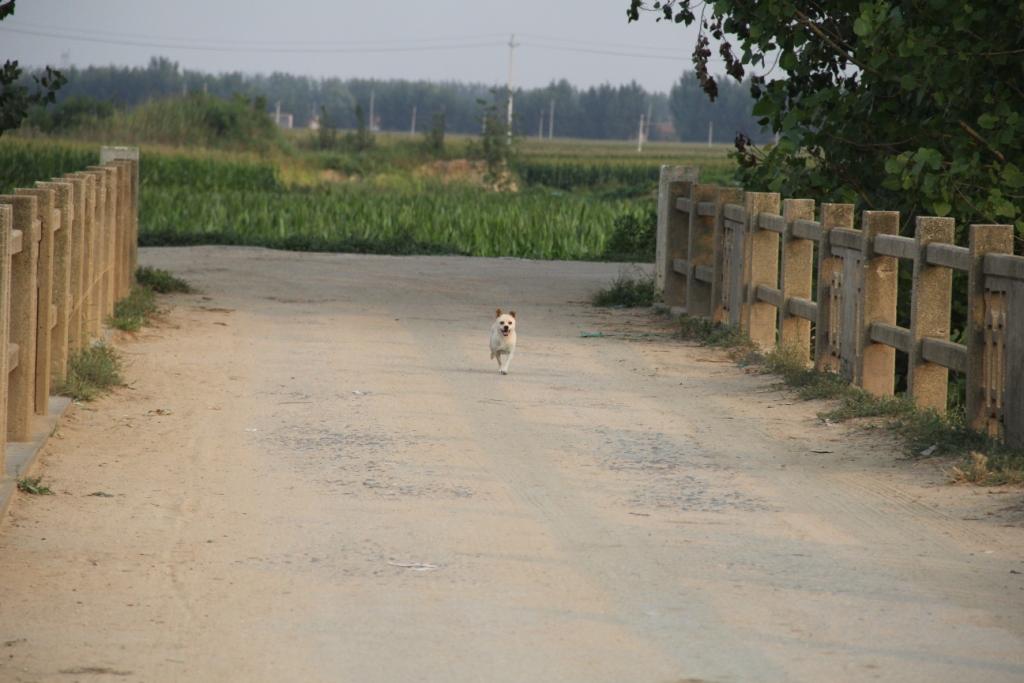 鐵家莊村