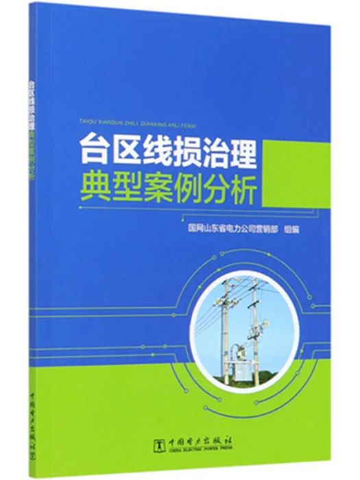 台區線損治理典型案例分析