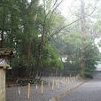 如夢令·點滴空階疏雨