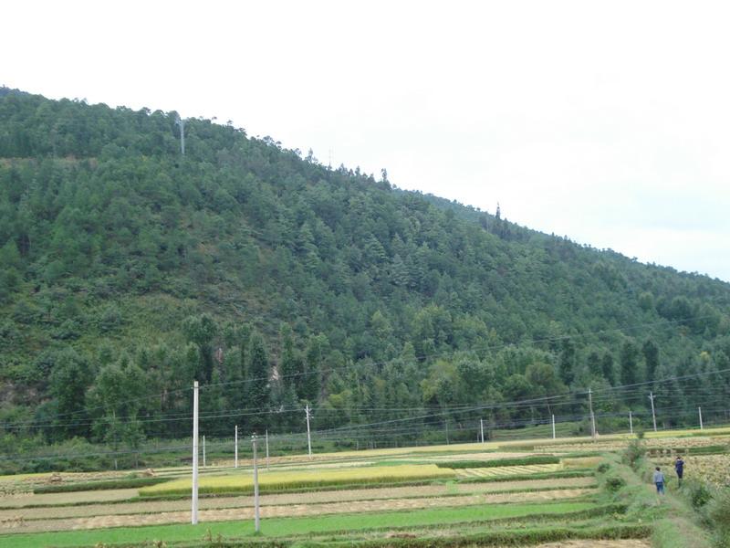 豐源村(雲南省洱源縣茈碧湖鎮豐源村)