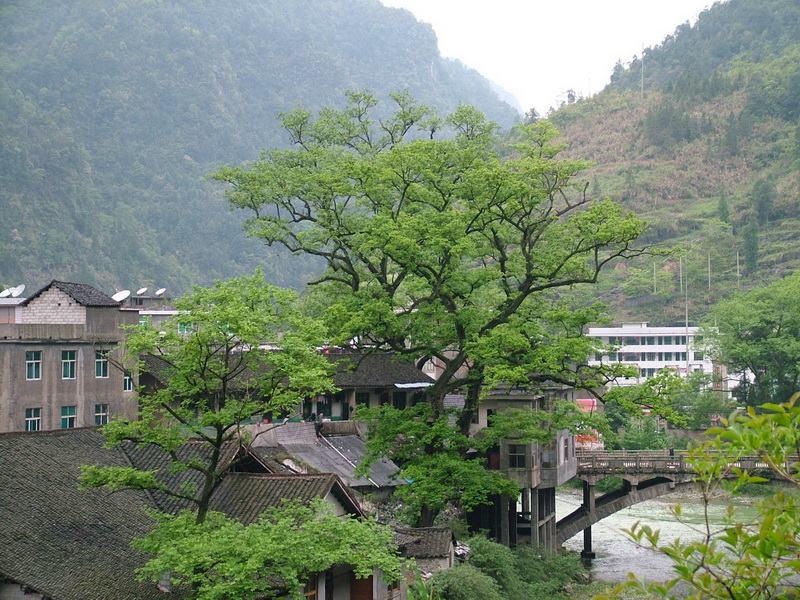 汪家坪居委會