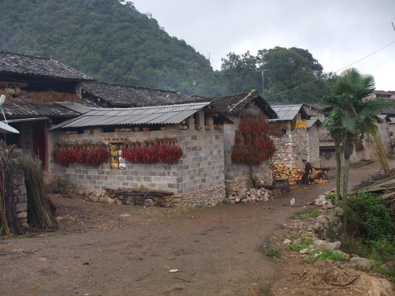 山丫口村(雲南文山縣壩心鄉下轄村)