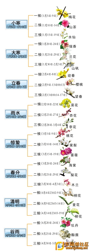 花信風