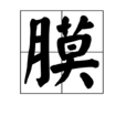 膜(漢字)