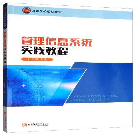 管理信息系統實踐教程(2019年西南師範大學出版社出版的圖書)