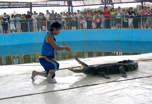 白洋淀異國風情園