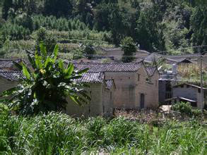 平山自然村