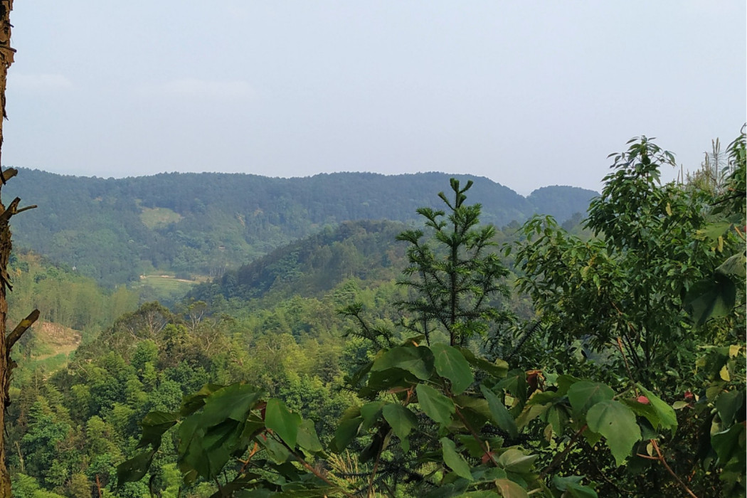 龍貫山(自貢市富順縣龍萬鄉境內的一座山峰)