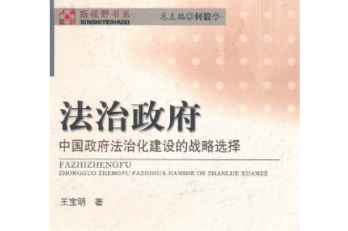 法治政府(2008年研究出版社出版的圖書)