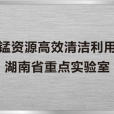 錳資源高效清潔利用湖南省重點實驗室