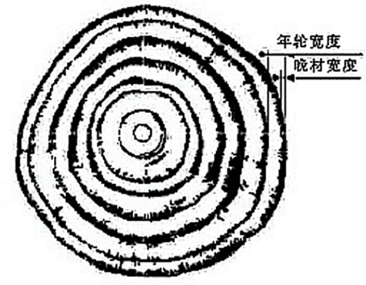 樹木年輪氣候志